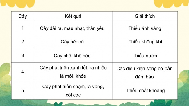 Soạn giáo án điện tử khoa học 4 KNTT Bài 15: Thực vật cần gì để sống?