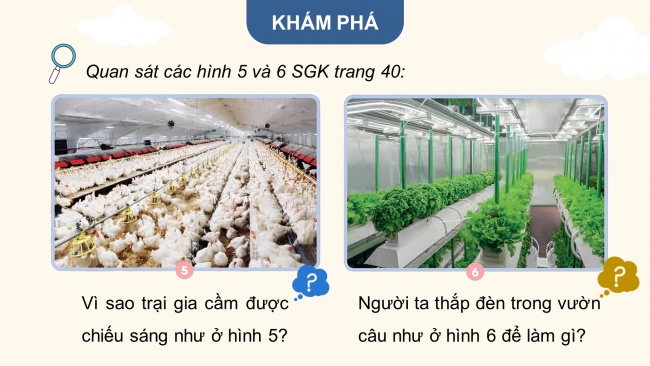 Soạn giáo án điện tử khoa học 4 CTST Bài 9: Ánh sáng với đời sống