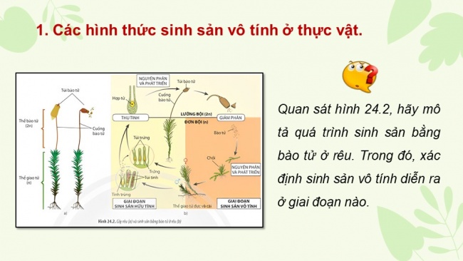 Bài giảng điện tử sinh học 11 chân trời sáng tạo