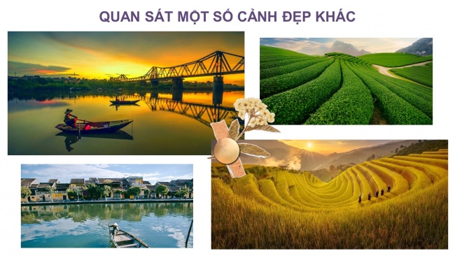 Soạn giáo án điện tử mĩ thuật 4 KNTT Chủ đề 3: Cảnh đẹp quê hương