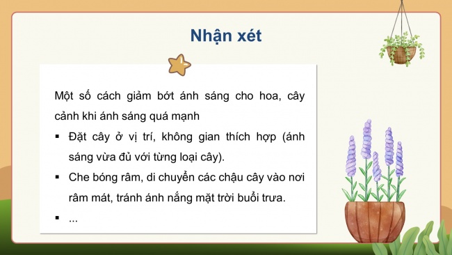 Soạn giáo án điện tử công nghệ 4 KNTT bài 6: Chăm sóc hoa, cây cảnh trong chậu