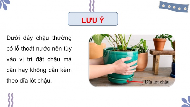 Soạn giáo án điện tử công nghệ 4 CTST Bài 2: Vật liệu, dụng cụ trồng hoa và cây cảnh trong chậu