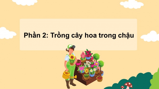 Soạn giáo án điện tử công nghệ 4 CTST Bài 3: Gieo hạt và trồng cây hoa trong chậu