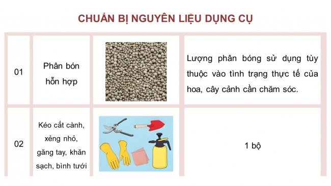 Soạn giáo án điện tử công nghệ 4 CTST Bài 5: Chăm sóc hoa, cây cảnh trong chậu