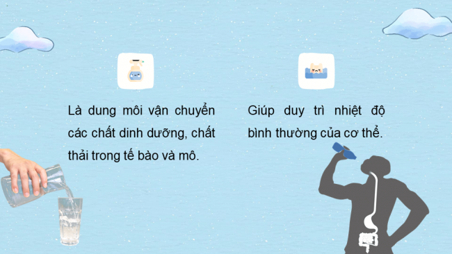 Bài giảng Powerpoint sinh học 7 cánh diều