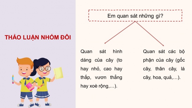 Soạn giáo án điện tử tiếng việt 4 cánh diều Bài 3 Viết 2: Luyện tập tả cây cối