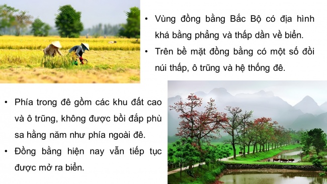 Soạn giáo án điện tử lịch sử và địa lí 4 cánh diều Bài 6: Thiên nhiên vùng Đồng bằng Bắc Bộ