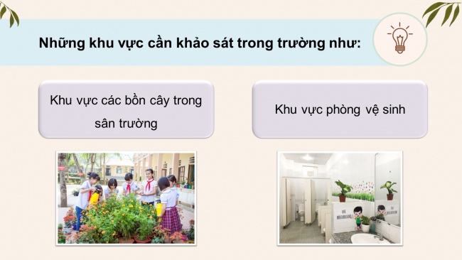 Soạn giáo án điện tử HĐTN 4 cánh diều Tuần 1: Giữ gìn trường em xanh, sạch, đẹp - Hoạt động 1, 2