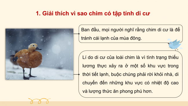 Soạn giáo án điện tử Ngữ văn 8 CTST Bài 2 Đọc 4: Những điều bí ẩn trong tập tính di cư của các loài chim