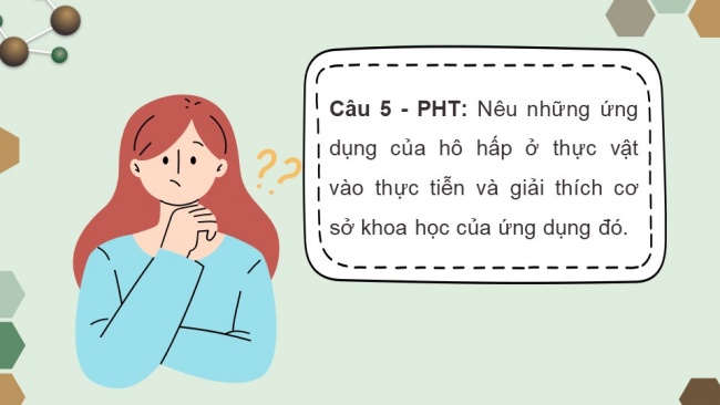 Soạn giáo án điện tử sinh học 11 KNTT Bài 6: Hô hấp ở thực vật (P2)