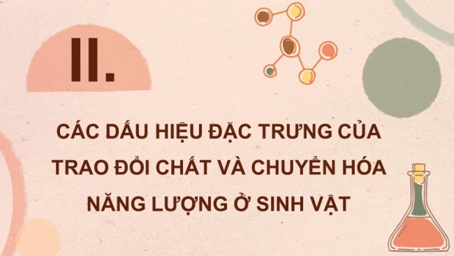 Soạn giáo án điện tử sinh học 11 CTST Bài 1: Khái quát về trao đổi chất và chuyển hoá năng lượng ở sinh vật