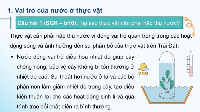 Soạn giáo án điện tử sinh học 11 CTST Bài 2: Trao đổi nước và khoáng ở thực vật (P1)