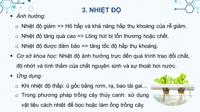 Soạn giáo án điện tử sinh học 11 CTST Bài 2: Trao đổi nước và khoáng ở thực vật (P2)