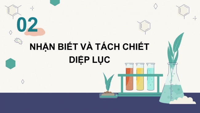 Soạn giáo án điện tử sinh học 11 CTST Bài 5: Thực hành: Quan sát lục lạp và tách chiết sắc tố; chứng minh sự hình thành sản phẩm