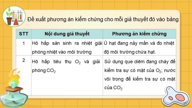 Soạn giáo án điện tử sinh học 11 CTST Bài 7: Thực hành: Một số thí nghiệm về hô hấp ở thực vật