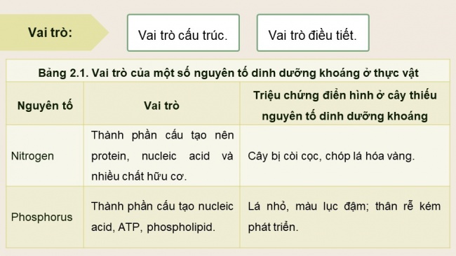 Soạn giáo án điện tử sinh học 11 Cánh diều Bài 2: Trao đổi nước và khoáng ở thực vật (P1)