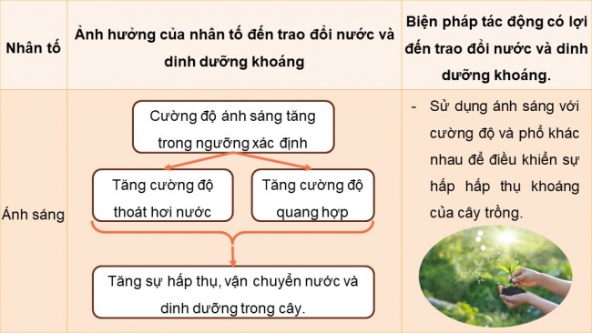 Soạn giáo án điện tử sinh học 11 Cánh diều  Bài 3: Các nhân tố ảnh hưởng đến trao đổi nước và khoáng ở thực vật