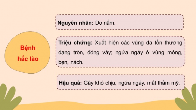 Bài giảng điện tử sinh học 8 kết nối tri thức