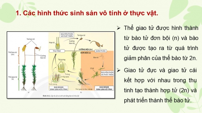 Bài giảng điện tử sinh học 11 chân trời sáng tạo