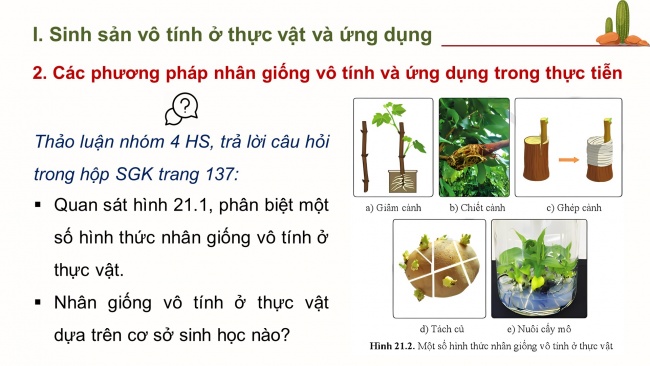 Bài giảng điện tử sinh học 11 cánh diều