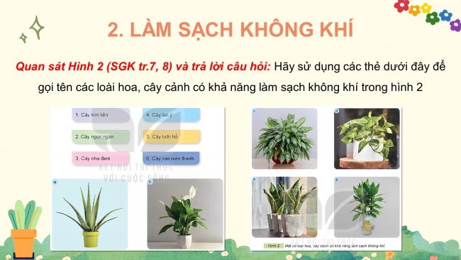 Soạn giáo án điện tử công nghệ 4 KNTT bài 1: Lợi ích của hoa, cây cảnh đối với đời sống