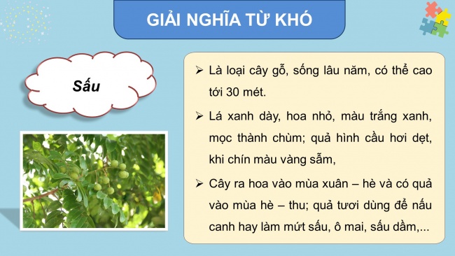 Soạn giáo án điện tử tiếng việt 4 CTST CĐ 1 Bài 5 Đọc: Cô bé ấy đã lớn