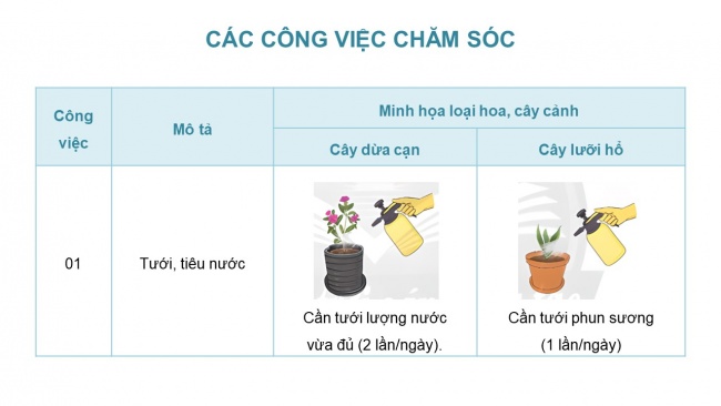 Soạn giáo án điện tử công nghệ 4 CTST Bài 5: Chăm sóc hoa, cây cảnh trong chậu