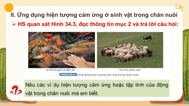 Bài giảng Powerpoint khoa học tự nhiên 7 kết nối tri thức