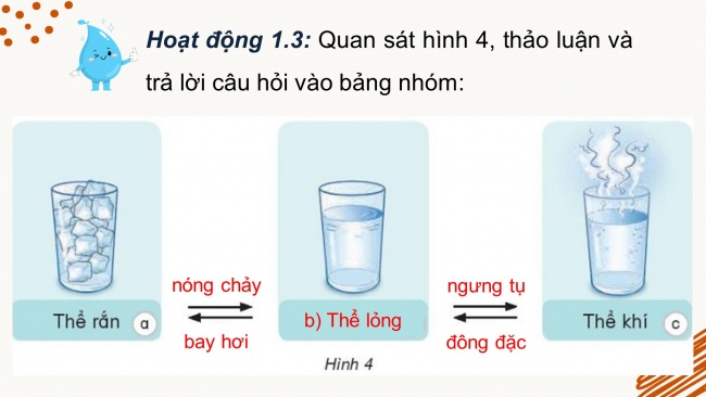 Bài giảng điện tử khoa học 4 kết nối tri thức