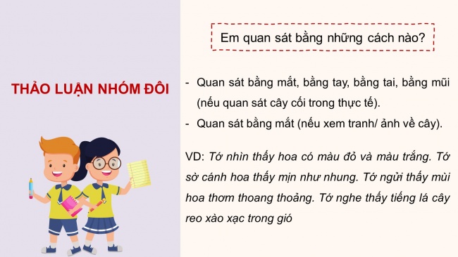 Soạn giáo án điện tử tiếng việt 4 cánh diều Bài 3 Viết 2: Luyện tập tả cây cối