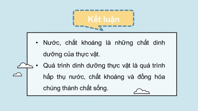 Soạn giáo án điện tử sinh học 11 KNTT Bài 2: Trao đổi nước và khoáng ở thực vật