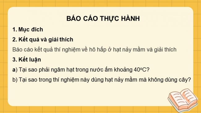 Soạn giáo án điện tử sinh học 11 KNTT Bài 7: Thực hành: Hô hấp ở thực vật