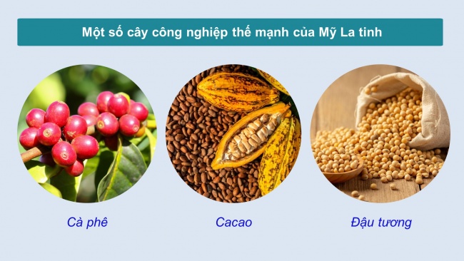Soạn giáo án điện tử địa lí 11 CTST Bài 8: Tự nhiên, dân cư, xã hội và kinh tế Mỹ La tinh (Phần 2)