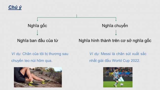 Soạn giáo án điện tử ngữ văn 11 CTST Bài 1 TH tiếng Việt: Cách giải thích nghĩa của từ