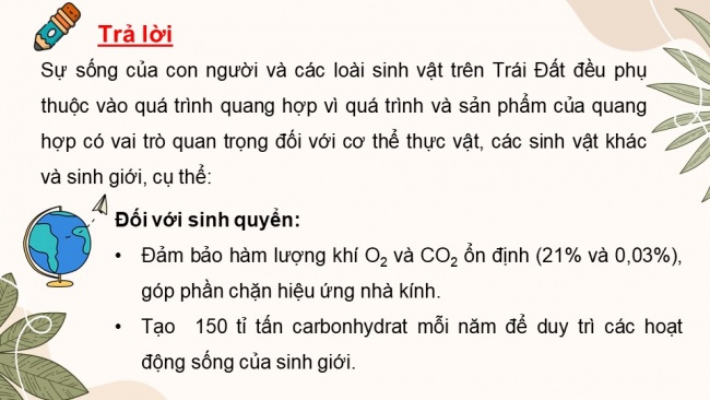 Soạn giáo án điện tử sinh học 11 CTST Bài 4: Quang hợp ở thực vật (P1)