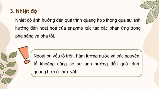 Soạn giáo án điện tử sinh học 11 CTST Bài 4: Quang hợp ở thực vật (P2)