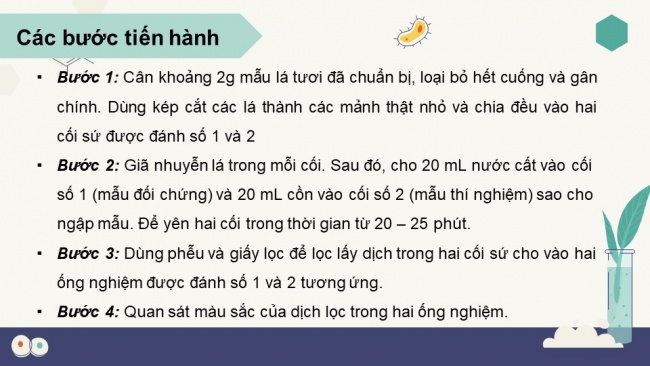 Soạn giáo án điện tử sinh học 11 CTST Bài 5: Thực hành: Quan sát lục lạp và tách chiết sắc tố; chứng minh sự hình thành sản phẩm