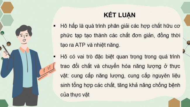 Soạn giáo án điện tử sinh học 11 CTST Bài 6: Hô hấp ở thực vật