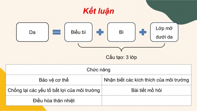 Bài giảng điện tử sinh học 8 cánh diều