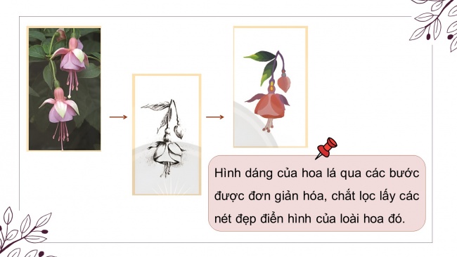 Soạn giáo án điện tử Mĩ thuật 8 CTST (bản 2) Bài 1: Vẽ và cách điệu hoa lá