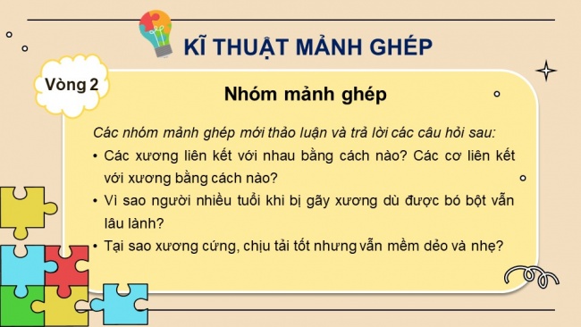 Soạn giáo án điện tử KHTN 8 CD Bài 28: Hệ vận động ở người