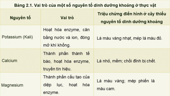 Soạn giáo án điện tử sinh học 11 Cánh diều Bài 2: Trao đổi nước và khoáng ở thực vật (P1)