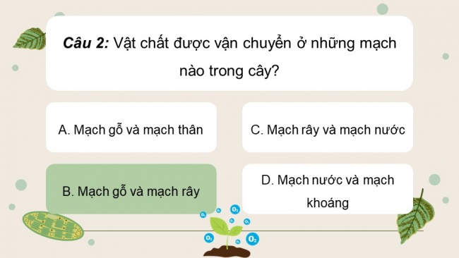 Soạn giáo án điện tử sinh học 11 Cánh diều Bài 2: Trao đổi nước và khoáng ở thực vật (P2)