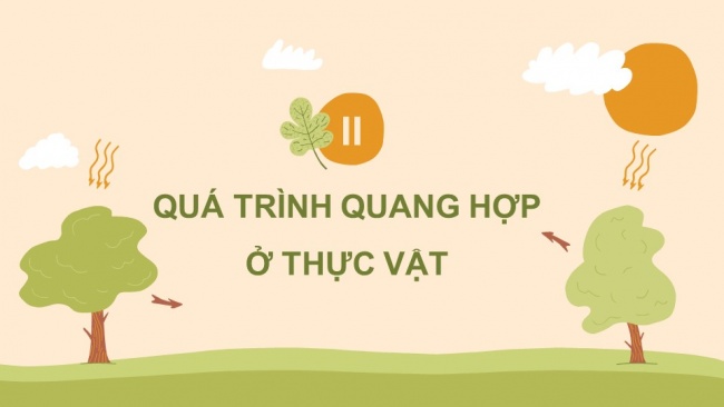 Soạn giáo án điện tử sinh học 11 Cánh diều Bài 4: Quang hợp ở thực vật (P1)