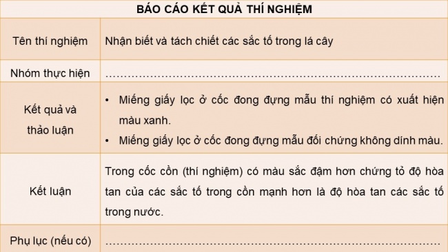 Soạn giáo án điện tử sinh học 11 Cánh diều  Bài 4: Quang hợp ở thực vật (P2)