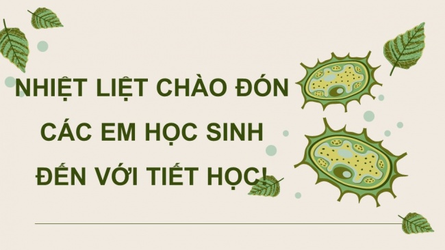 Soạn giáo án điện tử sinh học 11 Cánh diều Bài 2: Trao đổi nước và khoáng ở thực vật (P2)