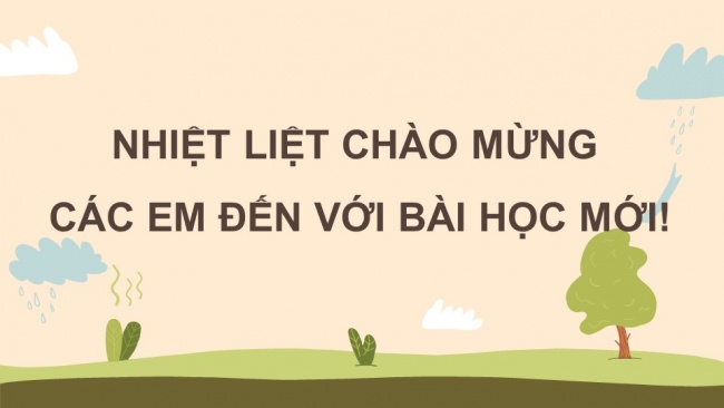 Soạn giáo án điện tử sinh học 11 Cánh diều  Bài 4: Quang hợp ở thực vật (P2)