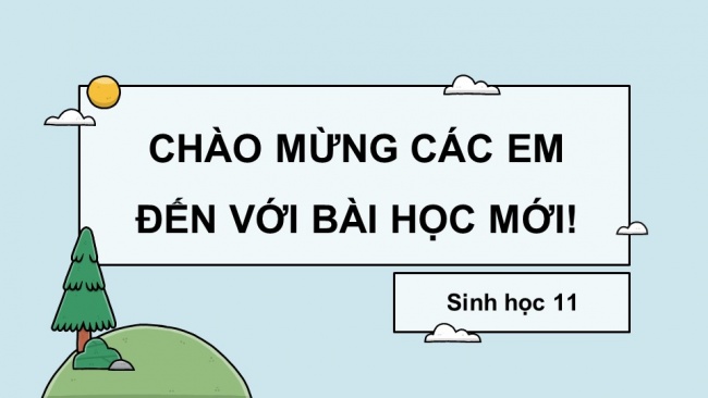 Soạn giáo án điện tử sinh học 11 Cánh diều Bài 5: Hô hấp ở thực vật