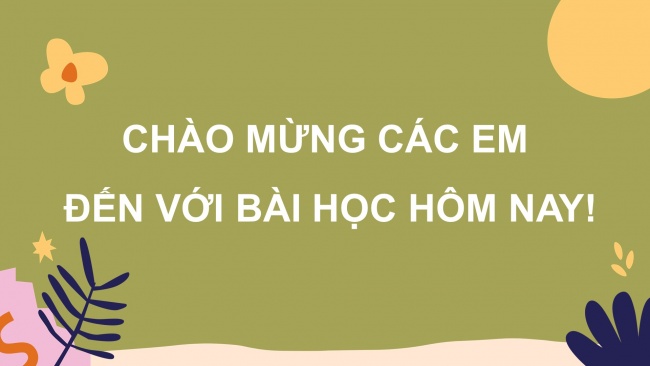 Bài giảng điện tử sinh học 8 kết nối tri thức