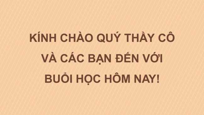 Soạn giáo án điện tử ngữ văn 11 Cánh diều Bài 4 Đọc 3: Tiếng Việt lớp trẻ bây giờ